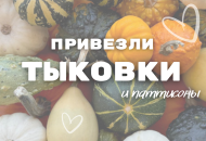 СЕЗОН ТЫКВ ОБЪЯВЛЯЕТСЯ ОТКРЫТЫМ! СЕЗОН ТЫКВ ОБЪЯВЛЯЕТСЯ ОТКРЫТЫМ!
