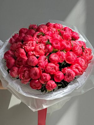 Букет из 51 пиона