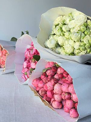 Роза кустовая пионовидная