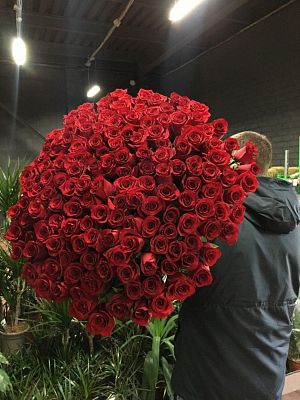 Букет из 151 розы