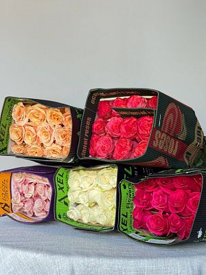 Роза Эквадор 50 см микс