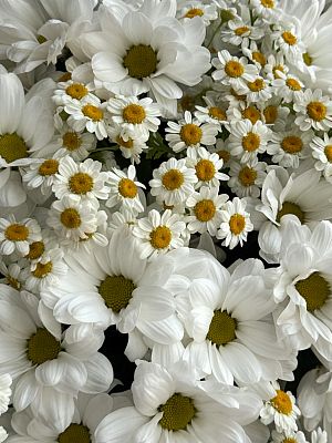 Букет "Забава"