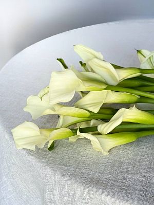 Каллы Микс