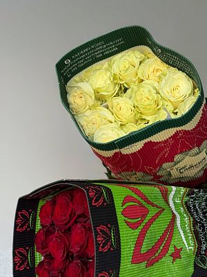 Роза Эквадор 80 см микс