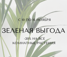 - 20% НА ВСЕ КОМНАТНЫЕ РАСТЕНИЯ