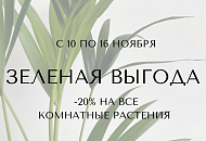 - 20% НА ВСЕ КОМНАТНЫЕ РАСТЕНИЯ